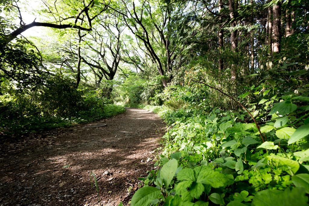 The Canvas Hayama Park Villa Exterior photo